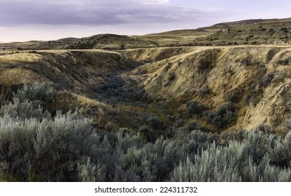 Billings, Montana, USA - The Rugged Landscape Of Bush Land And Undulations Of The Prairie Near Billings At Dawn, Montana, USA.