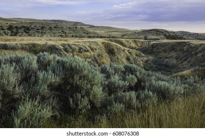 Billings, Montana, USA - The rugged landscape of bush land and undulations of the prairie near Billings at dawn, Montana, USA.
