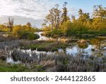 The Billy Frank Jr. Nisqually National Wildlife Refuge in Washington State, USA