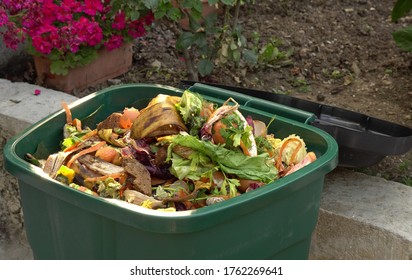 A Bin Filled With Materials That Comprise Green Waste, Such As Kitchen Food Wastes And Plant Trimmings. Organic Biodegradable Waste Container, Composting