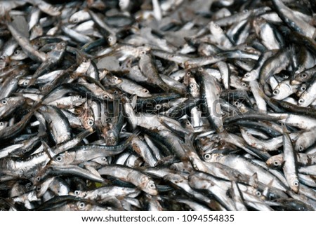 Similar – Image, Stock Photo ANCHOA CLUSTER Chrome