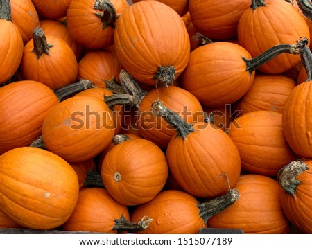 Bin full of Orange Pumpkins