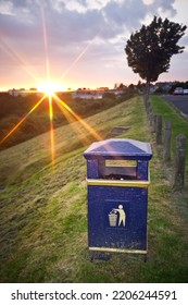 Bin On Grass With Star Shaped Lens Flair