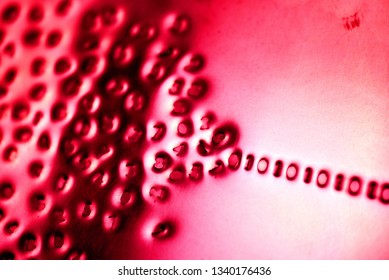Binary code: stylistic images depicting digital language emerging from a numerical cloud with intentional focus issues - Powered by Shutterstock - Get 15% off with code: PIKWIZARD15