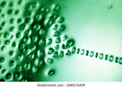 Binary code: stylistic images depicting digital language emerging from a numerical cloud with intentional focus issues