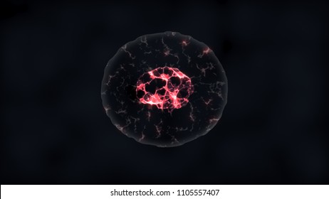 Binary Fission Cells Division 
