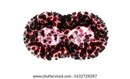 Binary fission cells division motion graphic on white background