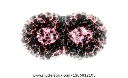 Binary fission cells division on white background
