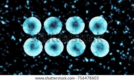 Binary Fission Transparent Cell Division 3D illustration