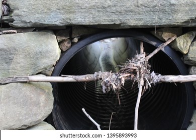 Binghamton NY, May 2019, Man-made Tunnel For Water Flow