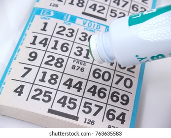 Bingo Card Game