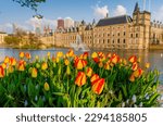 The Binnenhof castle during springtime on Hofvijver lake in the Hague city, South Holland, Netherlands which is one of the oldest Parliament buildings in the world.