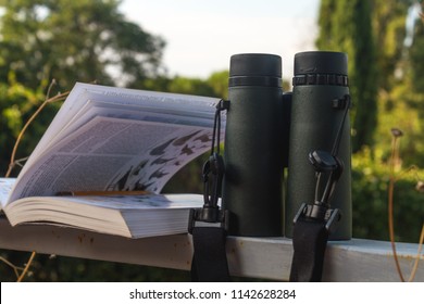 Binoculars and Bird Guide, Birdwatching setup