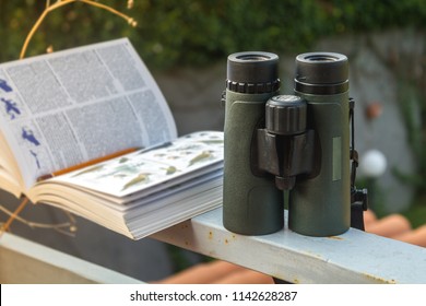 Binoculars and Bird Guide, Birdwatching setup - Shutterstock ID 1142628287