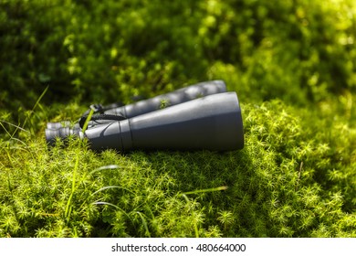 Binoculars in green grass, tourism concept