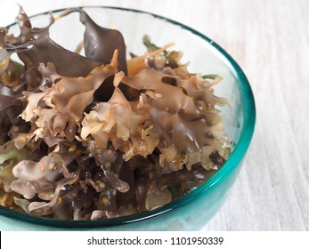 Binomial name: Chondrus Crispus. It is a sea vegetable or edible red seaweed.