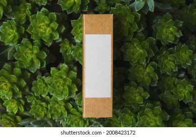 Bio cardboard box with white label on natural background with plants