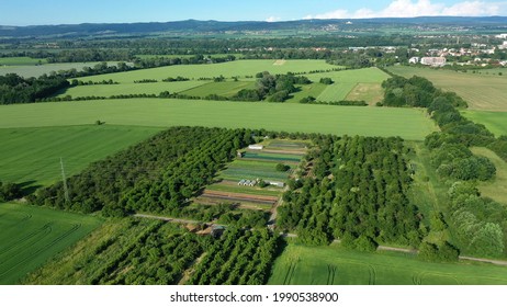 Bio farmer drone aerial field farming vegetable agricultural farm garden plantation fruit tree apple orchard video shot leaf curly cabbage kale plant organic plantation harvest vegetables, greenhouse - Powered by Shutterstock