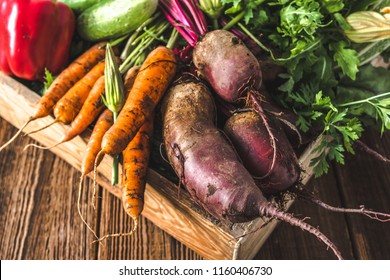 Bio food. Garden produce and harvested vegetable. Fresh farm vegetables in wooden box. Carrots and beets.