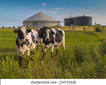 Bio Gas Installation on a farm processing Cow Dung