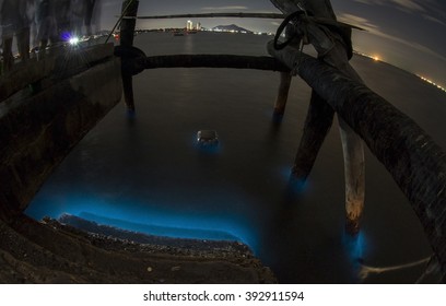 Bio Luminescence. Illumination Of Plankton At Chonburi, Thailand