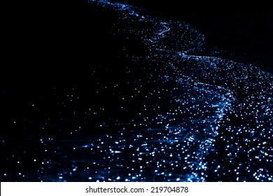 Bio luminescence. Illumination of plankton at Maldives. Many particles at black background.
