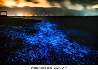 Bio luminescence. Illumination of plankton at Maldives. Many bright particles.