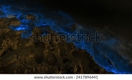 Bio luminescent waves on the beach at night. Illumination of plankton