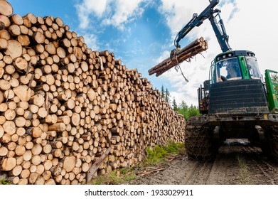 Bio Mass Timber Harvesting In Norway