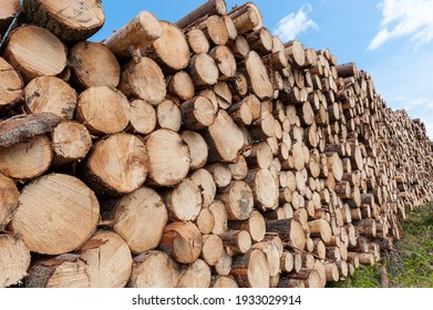 Bio Mass Timber Harvesting In Norway