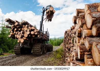 Bio Mass Timber Harvesting In Norway