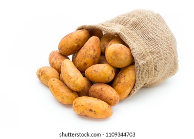 A Bio Russet Potato Isolated White Background.