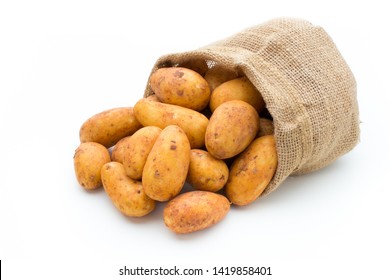 A bio russet potato isolated white background. - Shutterstock ID 1419858401