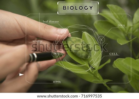 Bio technology professional engineer examining plant leaf disease.