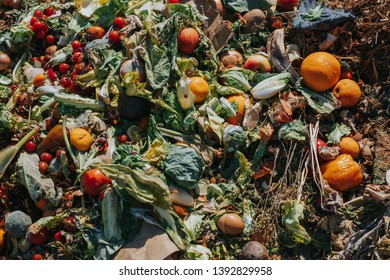 Bio Waste On Vegetable Farm, Heap Of Organic Waste, Food Waste