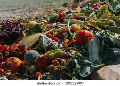 Bio Waste On Vegetable Farm, Heap Of Organic Waste, Food Waste