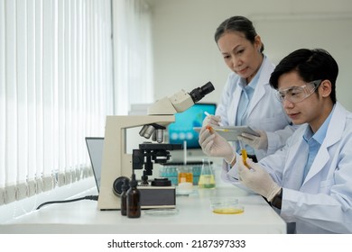 Biochemical Research Scientist Team Working With Microscope For Vaccine Development In Pharmaceutical Research Labolatory.