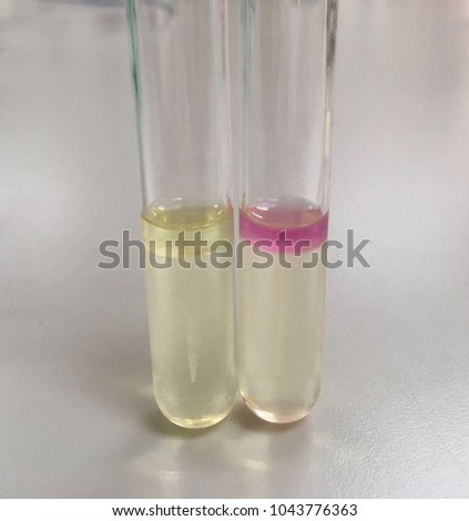 The indole test is a biochemical test performed on bacterial species to determine the ability of the organism to convert tryptophan into indole.