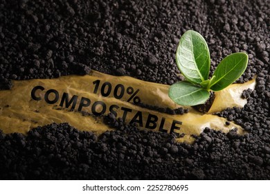 Biodegradable and Compostable Plastic Concept. Renewable Raw Materials. Used plastic is under the Planting Soil and a Seed can Grow Well 