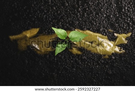 Biodegradable and Compostable Plastic Concept. Renewable Raw Materials. Young Plant Growth through Compostable Plastic and Black Soil. Top view