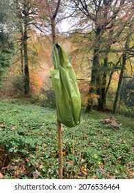 Biodegradable Dog Poop Bag Hanging On A Tree In Woodland.