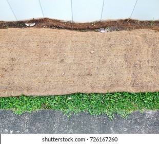 Biodegradable Soil Erosion Control Blanket Is Placed On The Strip Of Turf Area Outside The Perimeter Fence Hoarding To Stabilize And Reinforce Soil In A Construction Area. Top View Of Blanket. 