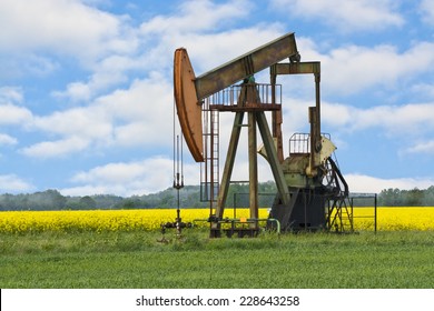 biodiesel concept (a pump jack with a canola field in background)