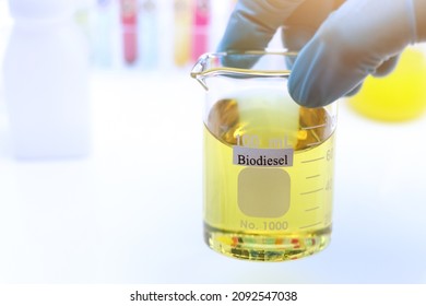Biodiesel experiments from natural raw materials in the laboratory and environmentally friendly