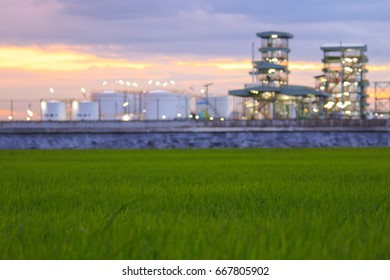 Biodiesel Refinery In Thailand.