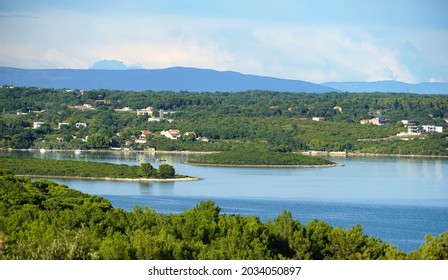 Biodiversity and ecological habitat of plant and animal species in Pomer on the Croatian peninsula Istria on beautiful summer day - Shutterstock ID 2034050897