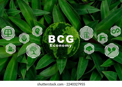 Bio-economy, circle economy, green economy.wooden cube with a BCG icon on a beautiful green background. The new economic model, or BCG model. BCG concept for sustainable economic development.