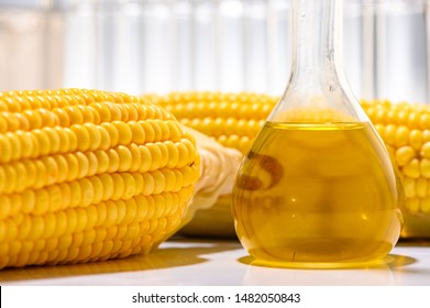 Biofuel From Corn, Oil And Biofuel Solution.