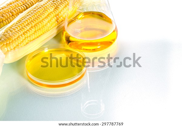 Biofuel\
or Corn Syrup, gasoline, energy,\
environmentalist