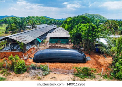 Biogas Digester  Pvc Plastic Model